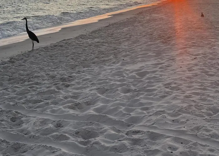 Apartment Charming 705c, Surf And Racket Club Gulf Shores
